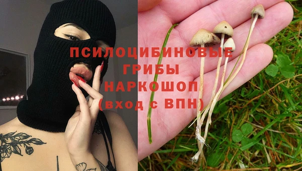 сатива Алексин