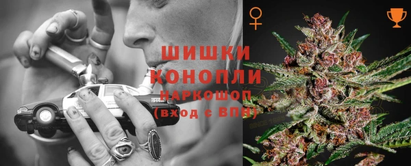 стафф Покровск