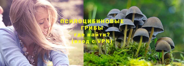 сатива Алексин