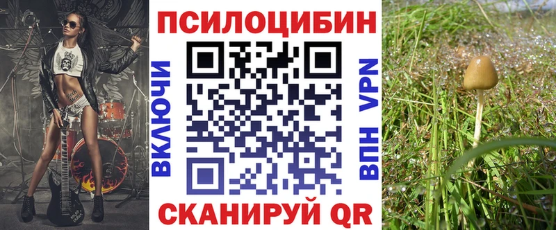купить цена Салехард Галлюциногенные грибы мухоморы